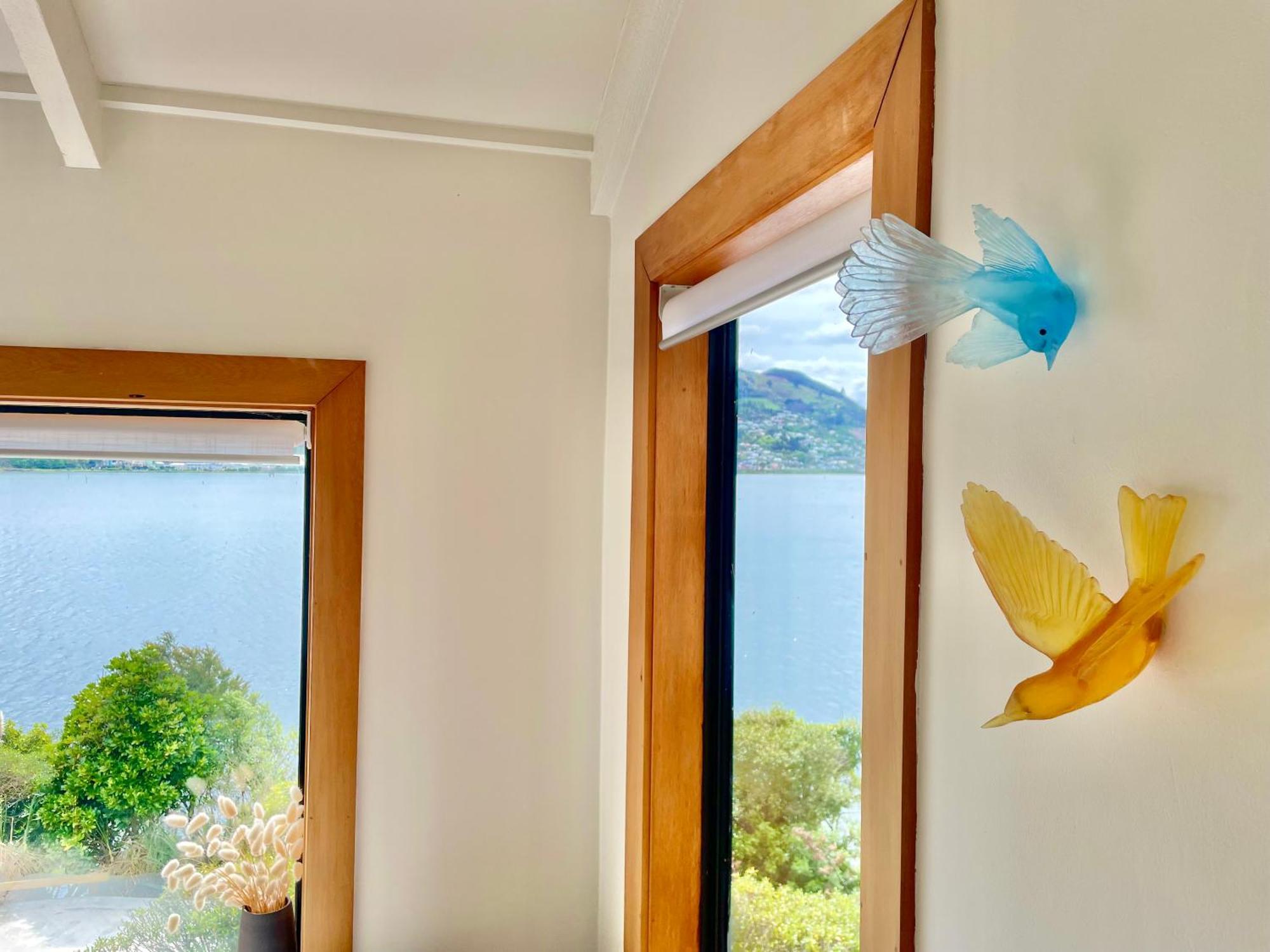The Cove Cabin - Your Quiet Escape Dunedin Exteriör bild