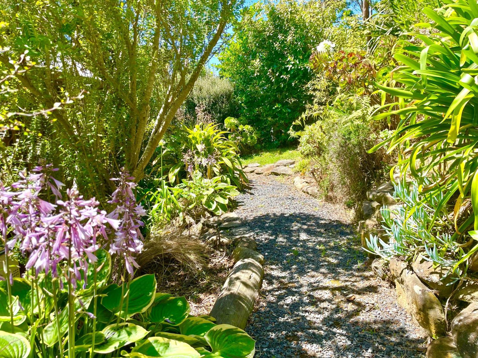 The Cove Cabin - Your Quiet Escape Dunedin Exteriör bild