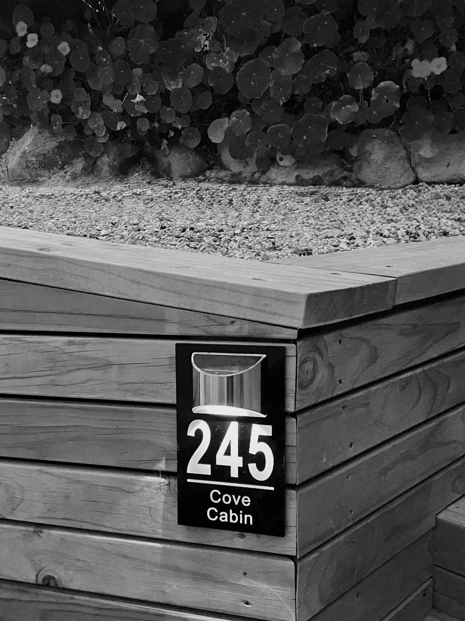 The Cove Cabin - Your Quiet Escape Dunedin Exteriör bild