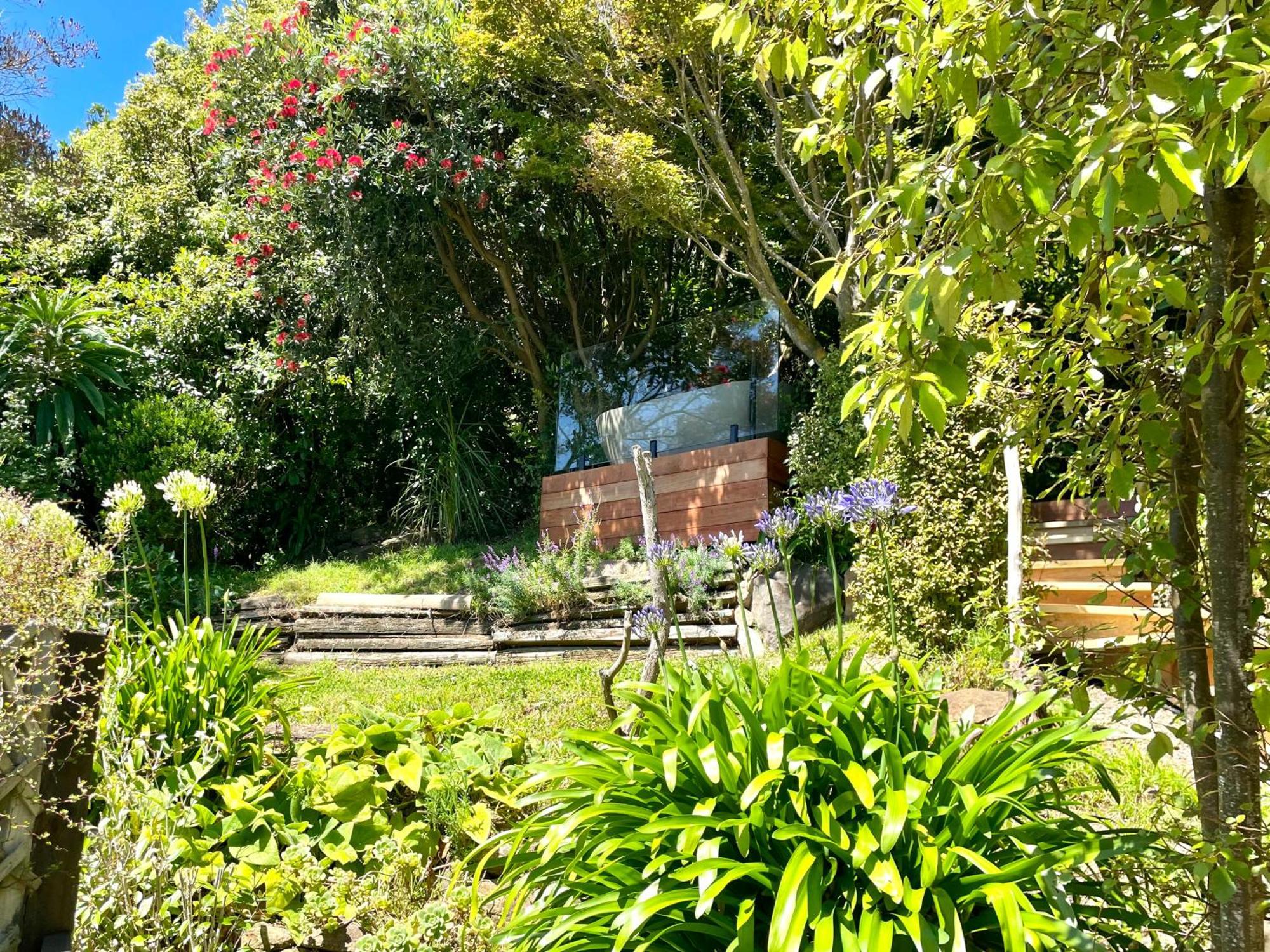 The Cove Cabin - Your Quiet Escape Dunedin Exteriör bild
